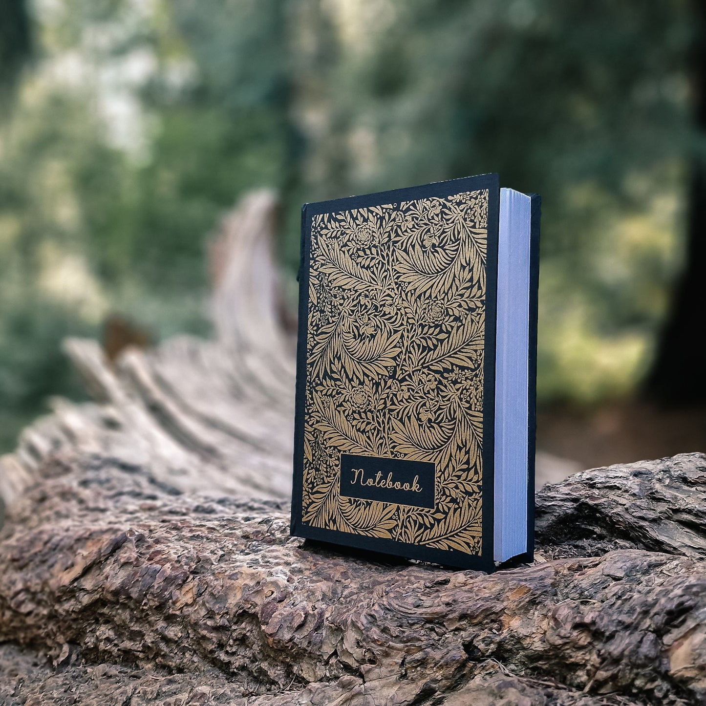 Black Larkspur journal Lined