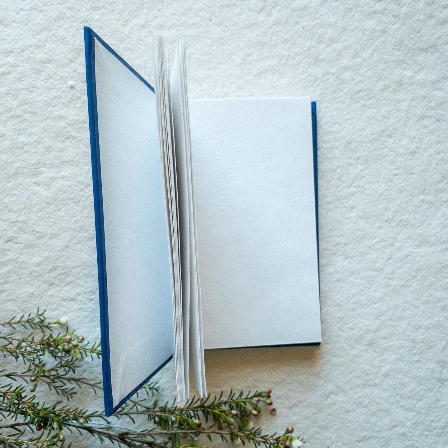 A Small Notebook Gold Larkspur on Blue