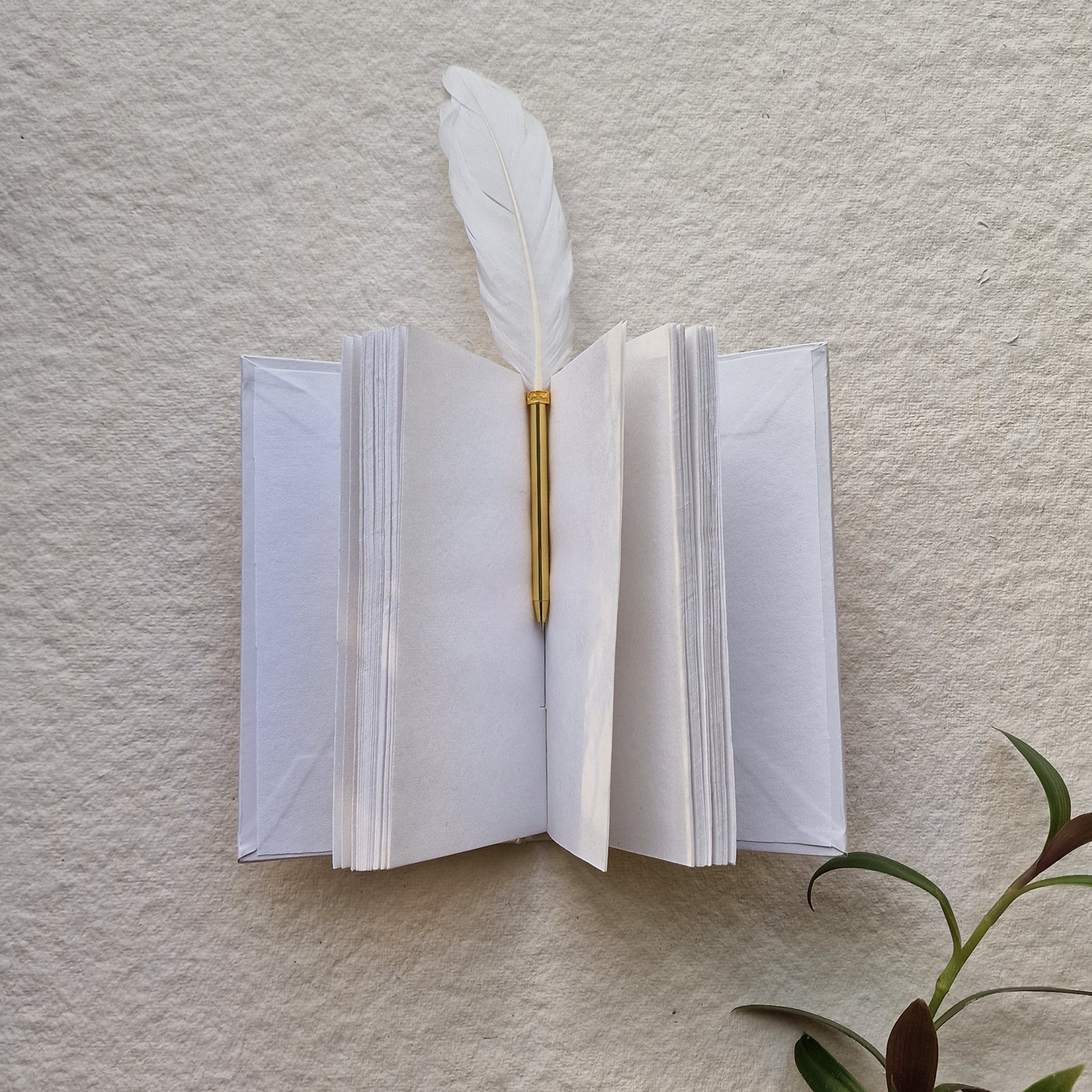 A Small Notebook Gold Larkspur on White